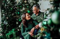Lulu Fierro  // Navidad 2025