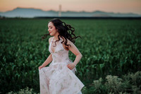 XV Aileen // 2026